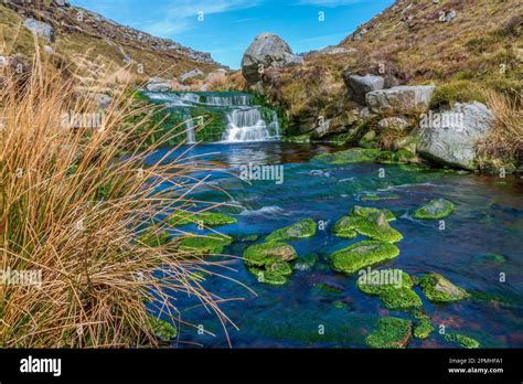 Waterfalls on The Infant Tarnbrook Wyre in Gables Clough above ...