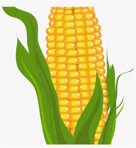 Corn Stalk With Corn Clipart