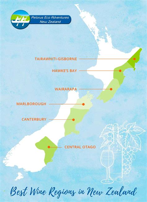 The best wine regions in New Zealand | Kayak New Zealand