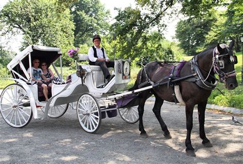 Traditional Central Park Carriage Rides!