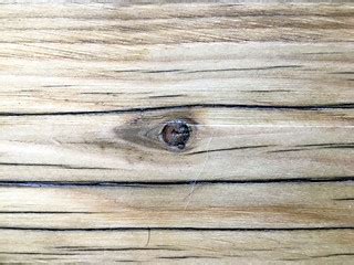 Wood Eye | Wood Eye | Alan Levine | Flickr