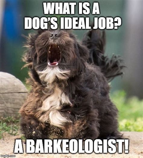 If the dog loves barking so much, it's pretty obvious that Barkeologist would be his ideal job ...