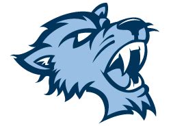 Baruch College Bearcats | MascotDB.com