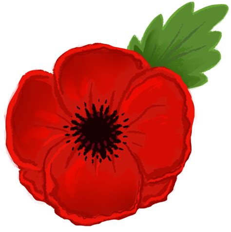 Free Poppy Cliparts, Download Free Poppy Cliparts png images, Free ...