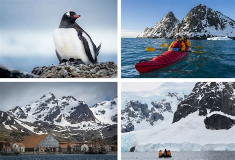 The Best Antarctica Cruise for Me - Knowmad Adventures