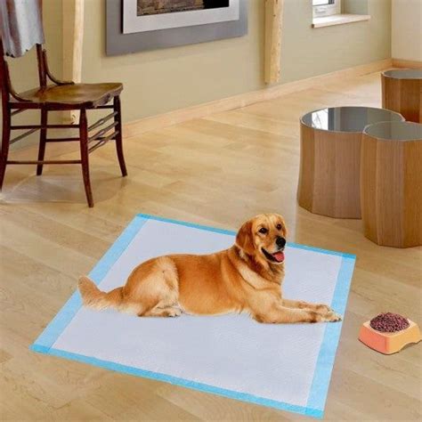 150 pcs 30" x 30" Pet Wee Pee Piddle Pad | Pet pads, Piddle pad, Best ...