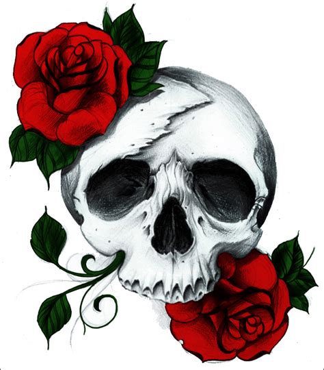 Rose Skull by A-midza on DeviantArt