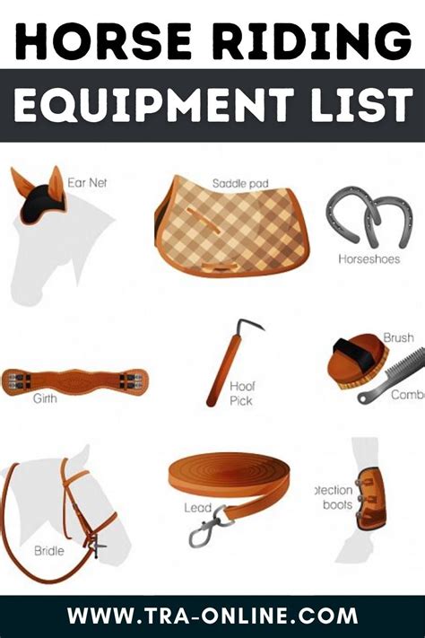 Horse riding equipment list!! | Horse riding gear, Horse riding clothes ...