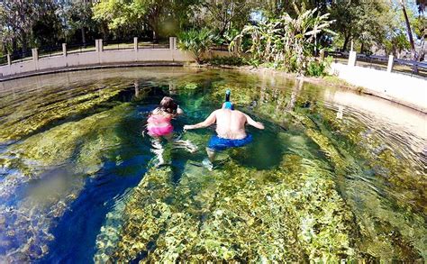 Salt Springs Swimming & Snorkeling - Jacksonville Beach Moms | Florida state parks, Visit ...