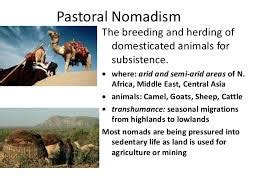 Who are the pastoral nomads? Describe any four features of them ...