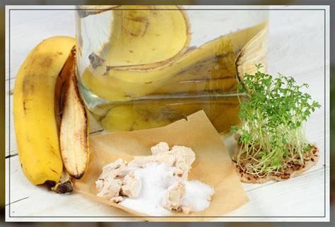 Banana Water: Is it Good for Plants? - Al Ardh Alkhadra