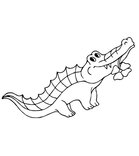 Alligator Coloring Pages For Preschool