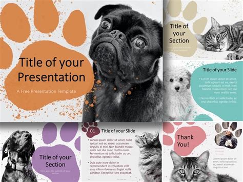 Pets Template for PowerPoint and Google Slides - PresentationGO | Pets ...