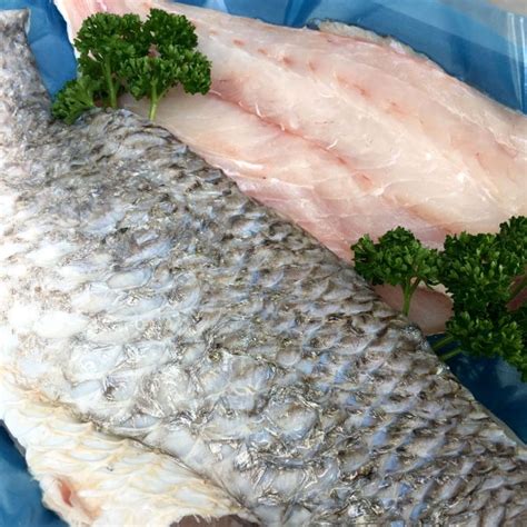 Grunter Fillets | Mackay Fish Market