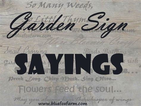 Garden Sign Sayings - funny quotes, whimsical sayings