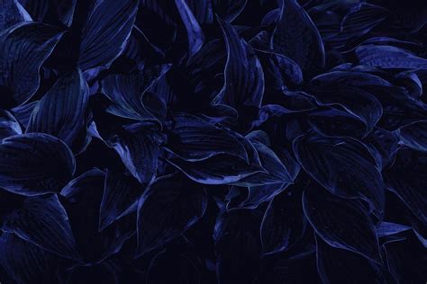 Dark Blue Aesthetic Tumblr Wallpapers - Top Những Hình Ảnh Đẹp