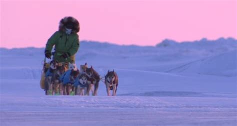 Iditarod Notebook: News from the Trail - ICT News