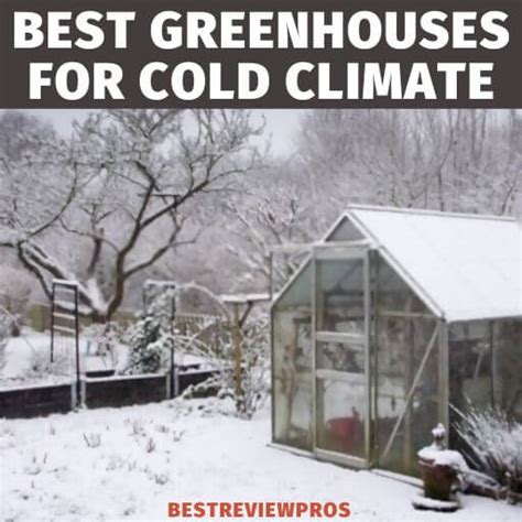 Best Greenhouses for Cold Climates: 4 Worth Buying!