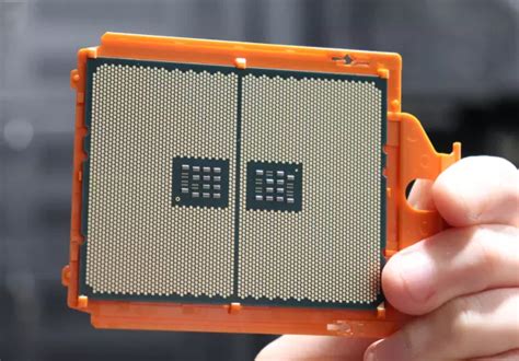 AMD Ryzen Threadripper Pro 5995WX WEPYC Review | lupon.gov.ph