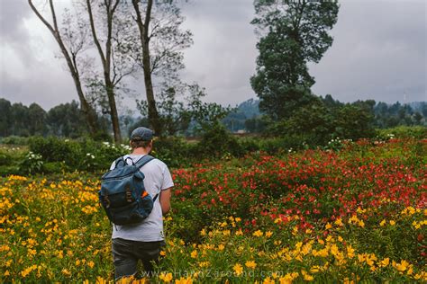 Gisenyi & Lake Kivu in Rwanda: Where To Stay & Unique Things To Do ...