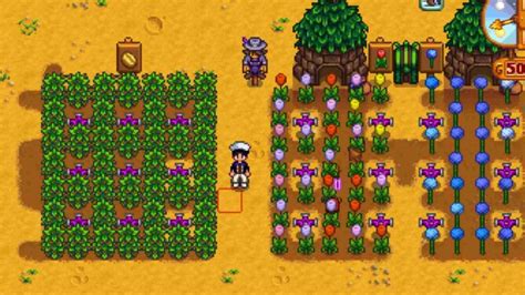 Top 12 Best Spring Crop in Stardew Valley