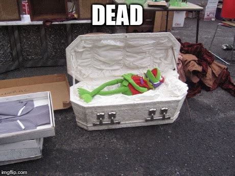 Image tagged in kermit the frog,dead,casket,meme - Imgflip