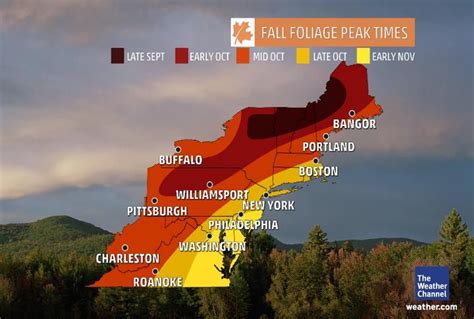 Northeast Fall Foliage | Fall foliage, The weather channel, Williamsport