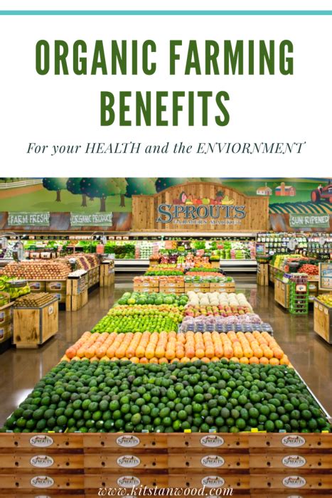 Organic Farming Benefits for your Health and the Environment | Kit