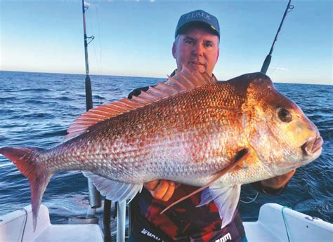 Snapper Fishing Season | Boat Gold Coast