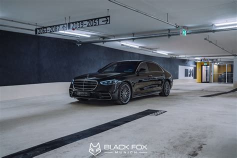 Black Fox