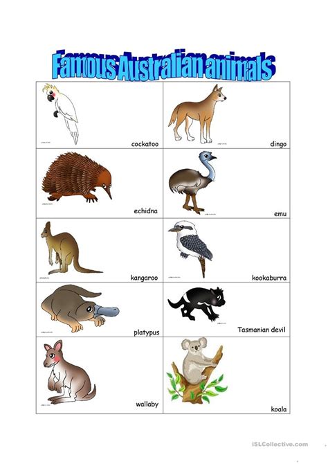 14 Free Esl Australian Animals Worksheets - Free Printable Australian Animals | Free Printable