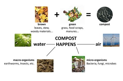 The Science Of Compost