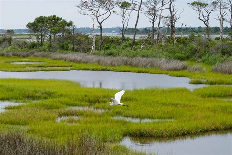 Quantifying the benefits of wetland restoration for carbon ...