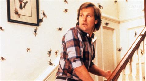 Arachnophobia (1990) - About the Movie | Amblin