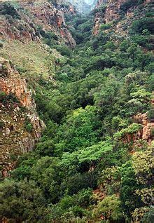 Magaliesberg - Wikipedia, the free encyclopedia | Provinces of south ...