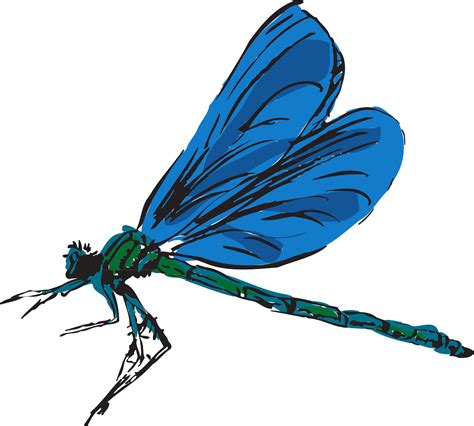 Dragonfly clipart jpeg, Dragonfly jpeg Transparent FREE for download on WebStockReview 2023