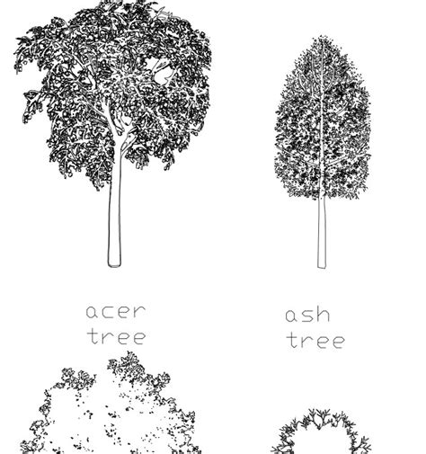 CAD Blocks - Trees Archives - First In Architecture