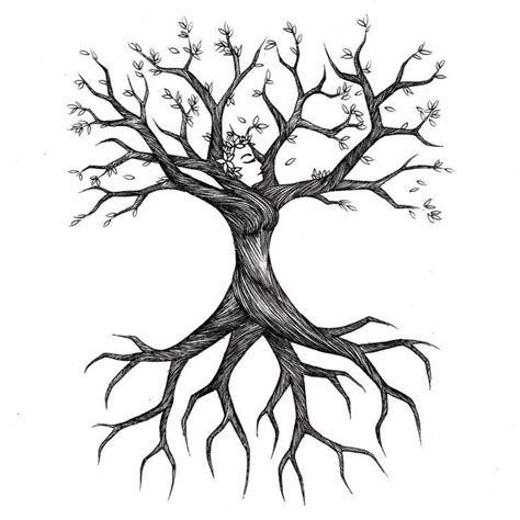 Tree Roots Sketch | Treesa's Tree | Genealogy | Pinterest | Tree ... | Tree roots tattoo, Roots ...