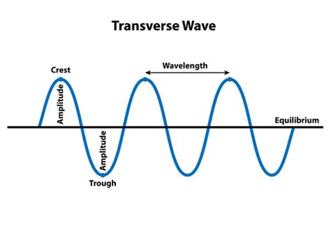 Electromagnetic Waves Transverse Nature