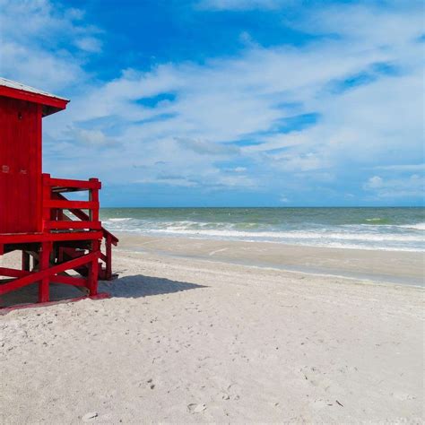 Sand Key Beach: Insider Secrets for a Florida Vacation - Coastal Wandering