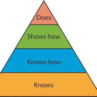 Miller’s pyramid applied to basic and clinical sciences | Download ...