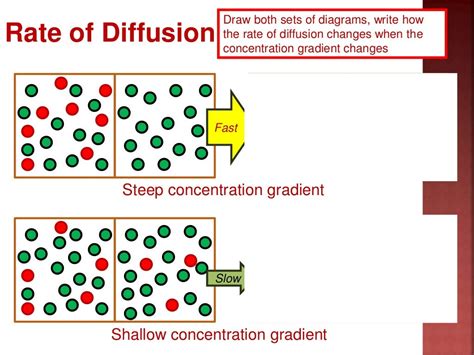 Lesson 13 diffusion