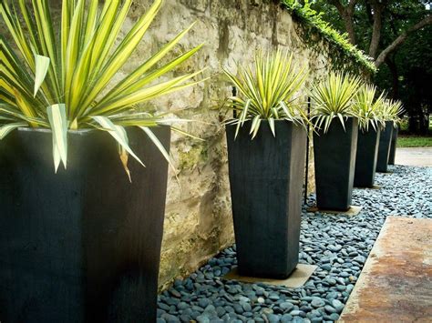 tall fern planters landscape contemporary with resistant outdoor flower pots | Outdoor planter ...