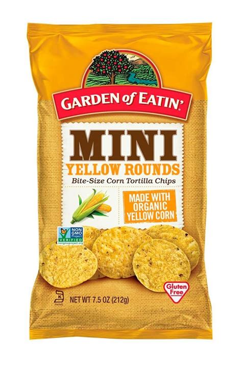 12 Best Vegan Chips You Will Get Addicted To (Popular & New)