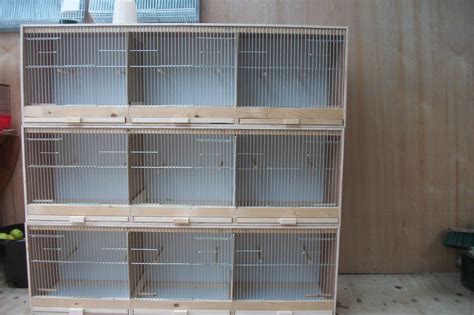 breeding cage for racing pigeon | Racing pigeons, Pigeon cage, Racing pigeon lofts