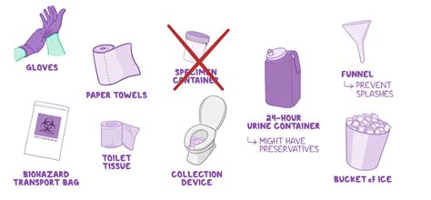 Collecting a urine specimen: Clinical skills notes | Osmosis