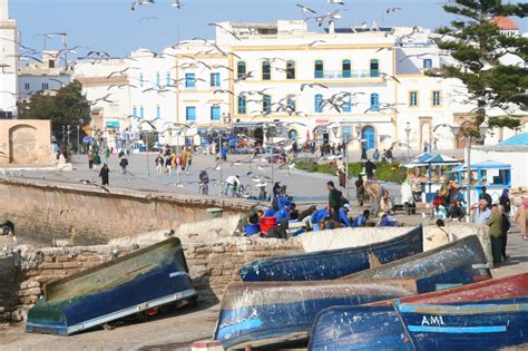 The ‘unsullied’ charms of Essaouira – Notes from Camelid Country