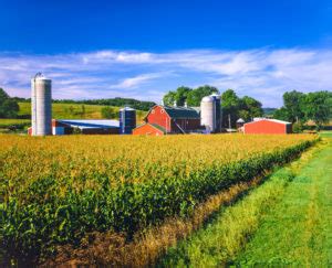 Corn crop and Iowa farm at harvest time | Corn Refiners Association