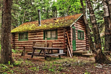 How Many Years Will a Log Cabin Last? | Quick-garden.co.uk