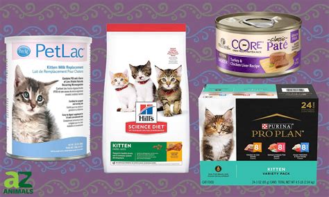 The Best Kitten Food: Ranked and Reviewed - A-Z Animals